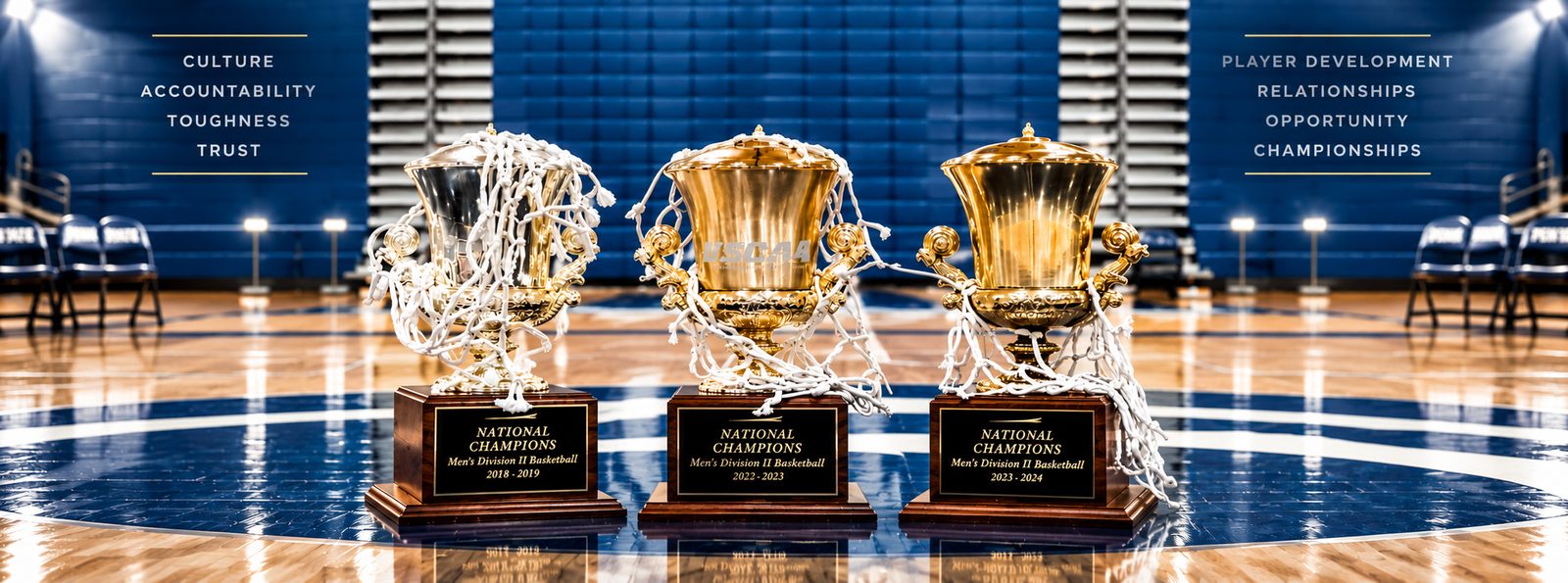 Championship trophies on the court